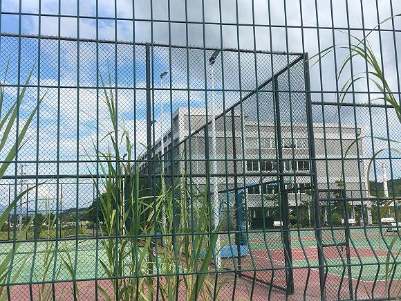 加多宝全国大面积缺货 核心原料工厂近乎关停