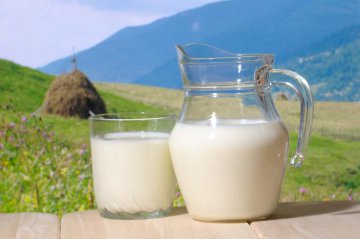 纯牛奶、鲜牛奶、含乳饮料……哪种牛奶更好？