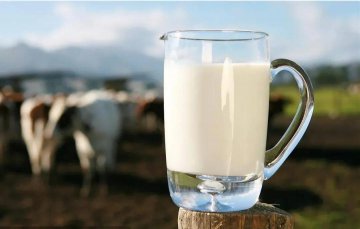 基础白奶要涨价了？高端奶、酸奶促销力度也变小
