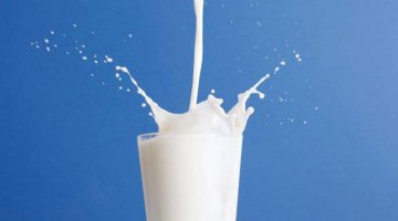 脱脂牛奶、全脂牛奶……你了解多少？