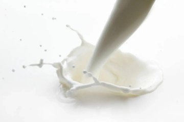 快来了解一下：牛奶的正常外观和滋味