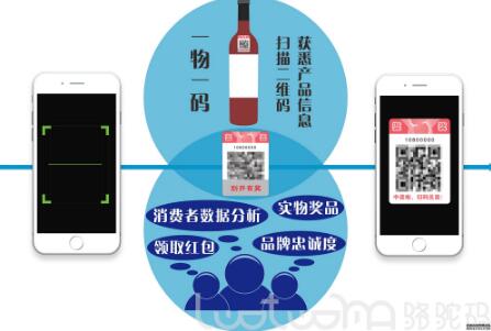 G20为全球经济把脉,骆驼码为快消品行业开方