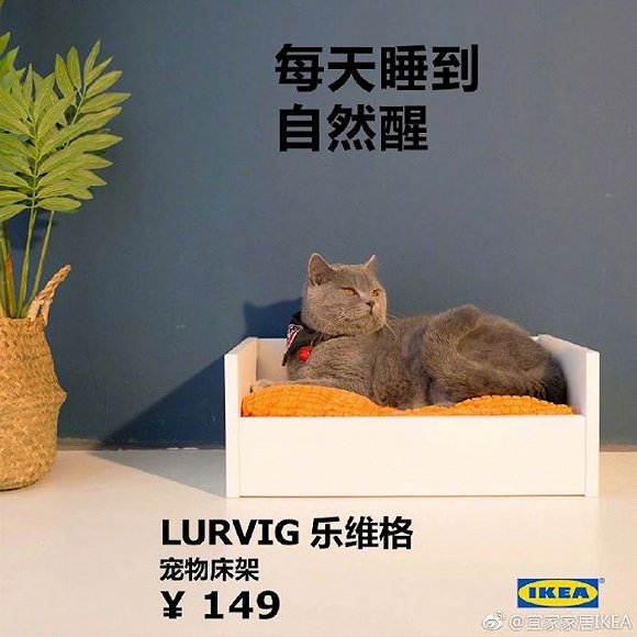 宜家宠物用品在中国开卖,外观设计有点平庸