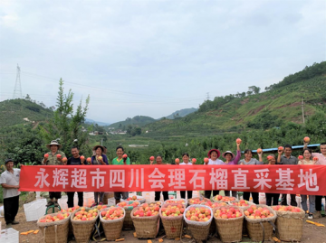 永辉超市助农增收消费扶贫，直采8000吨会理石榴
