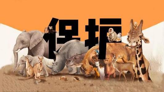 ƽ̨ܳΪǷҰｻװ