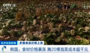 韩国食材价格暴涨，腌20棵泡菜成本超千元