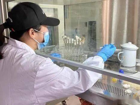 如何解决菌种“卡脖子”问题?